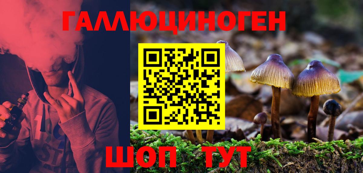 Карпинск  Галлюциногенные грибы MAGIC MUSHROOMS  Вход с VPN 